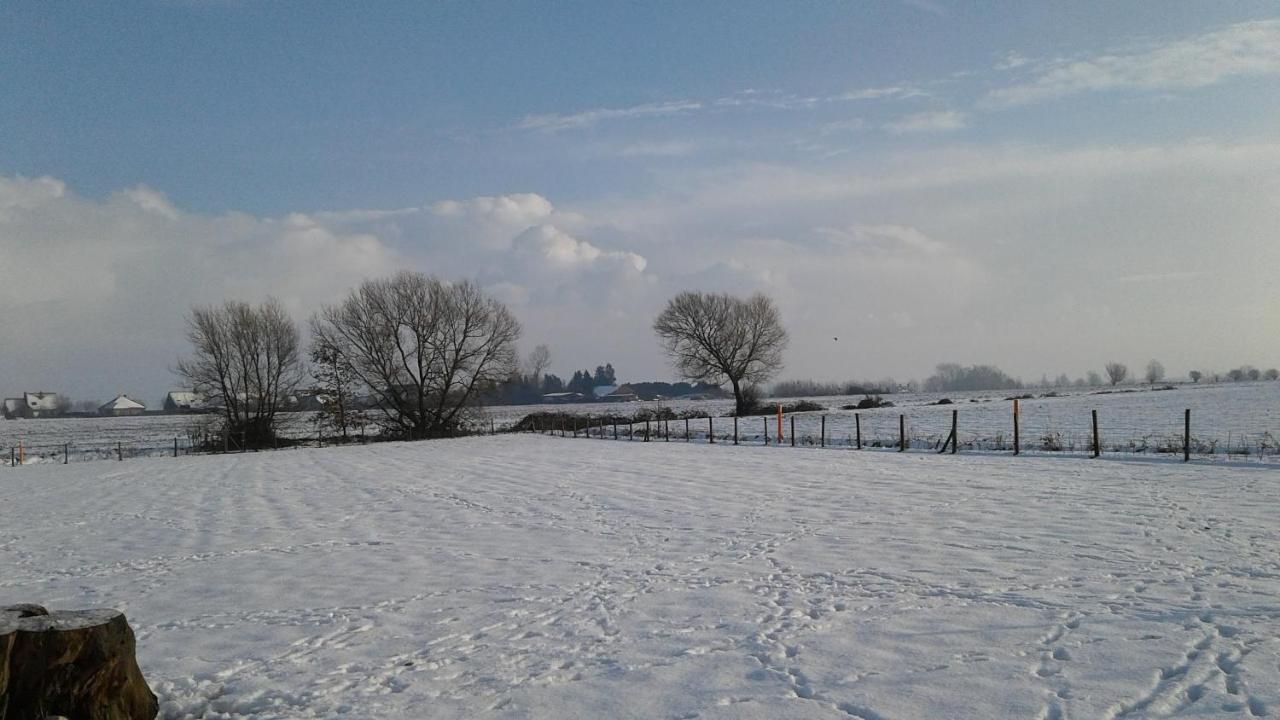 B & B Victors Hof, Met Zwemvijver In Landelijke Setting Lievegem Exterior photo