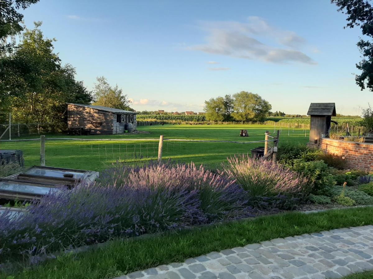 B & B Victors Hof, Met Zwemvijver In Landelijke Setting Lievegem Exterior photo