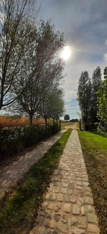 B & B Victors Hof, Met Zwemvijver In Landelijke Setting Lievegem Exterior photo